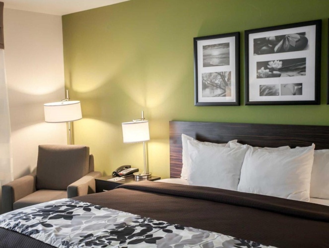 Standard Double room
