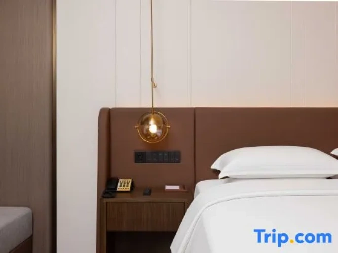 Deluxe Double room with city view