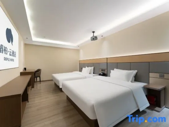 Business Twin room
