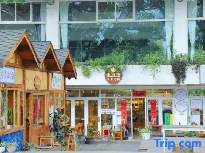 Eco-friendly and Simple-life Hotel