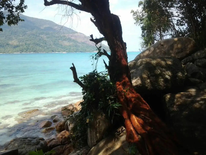 Longbay Lipe Bungalow