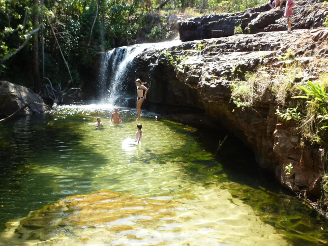 The Tropical Sanctuary