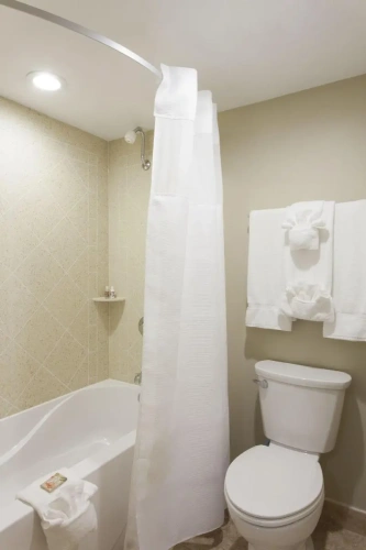 Standard Double room with ocean view