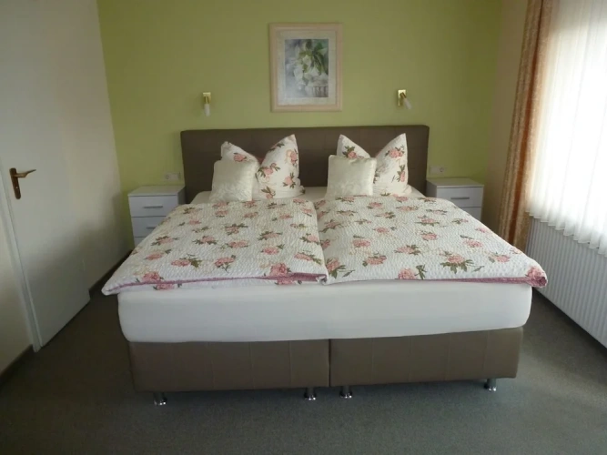 Standard Double room with mountain view