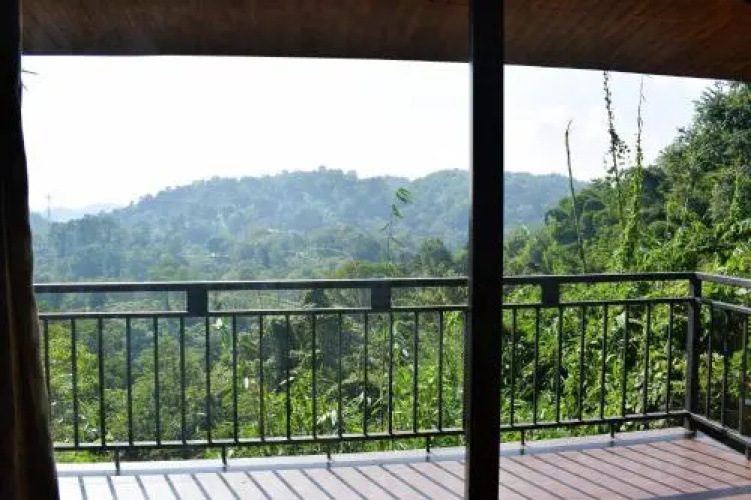 Brahmaputra Jungle Resort