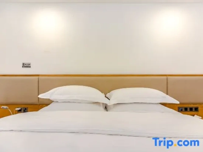 Standard Double Duplex room