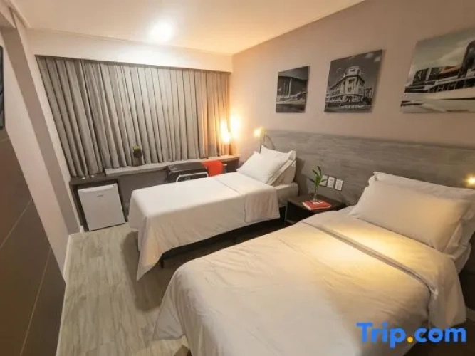 Luxury Twin Suite