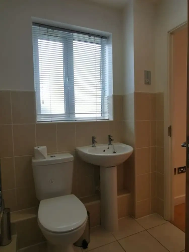 2 Bedrooms Superior Basement Apartment