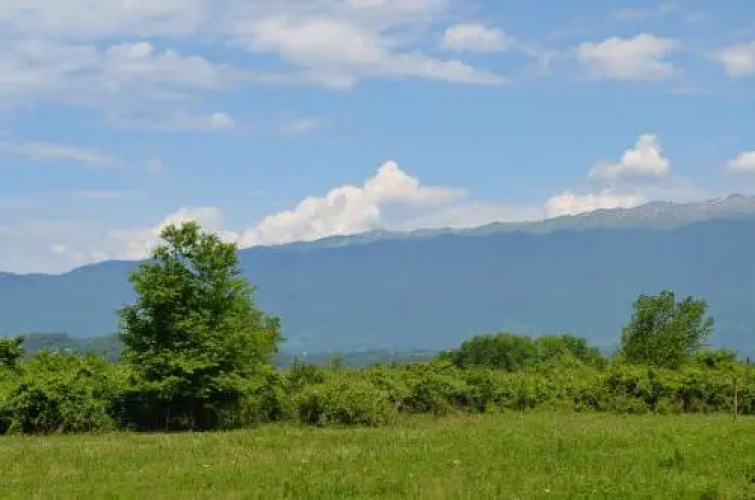 Solnechny Bereg Guest House
