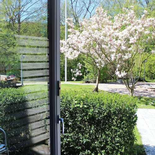 Economy Double room with garden view