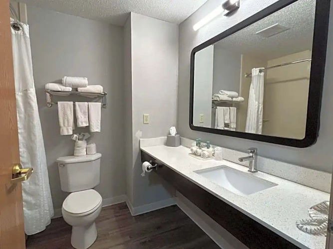 Quadruple Suite