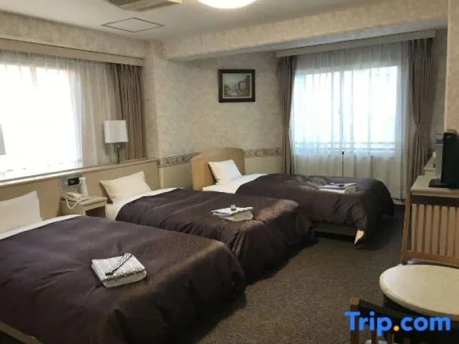 Standard Triple room with city view