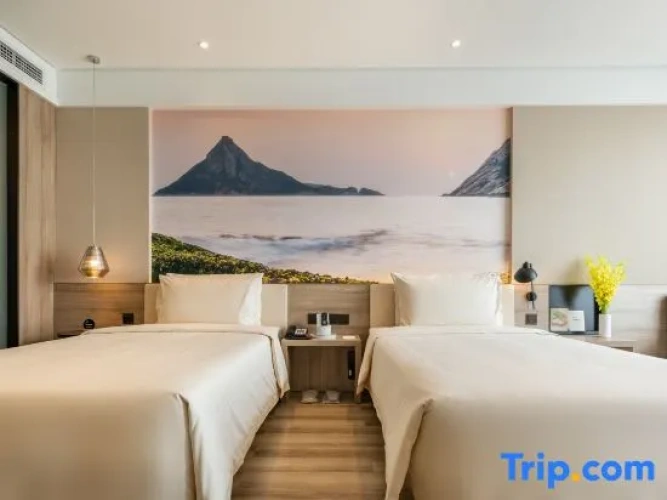 Executive Twin room