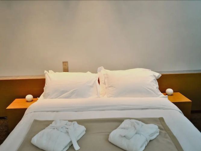 Elafivolia Arachova Suites