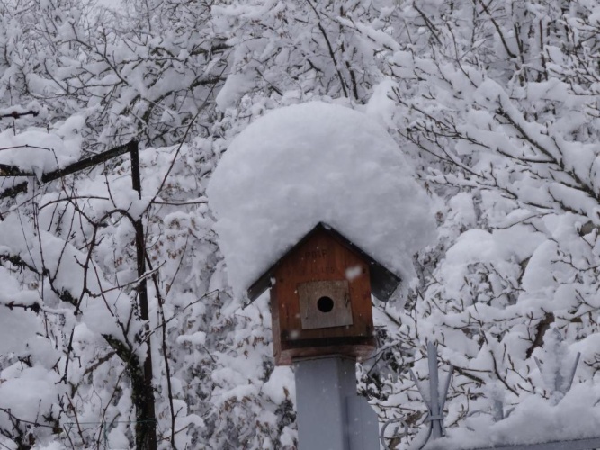 Cottage