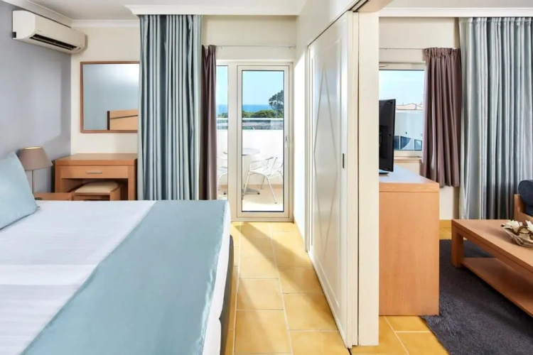 Standard Studio with balcony and with view