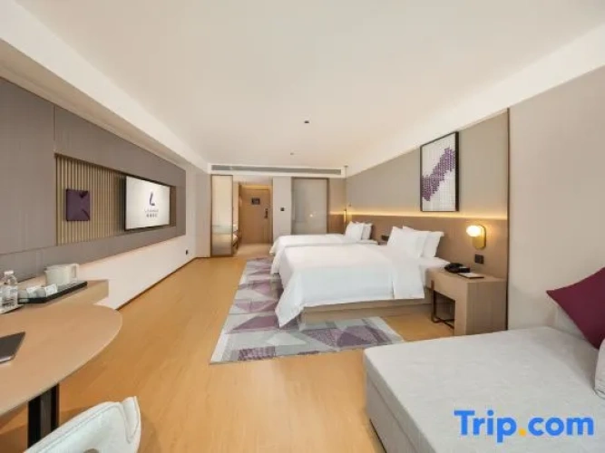 Deluxe Twin room with city view