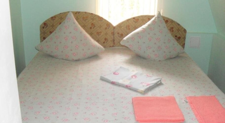 Hotel ZvezdaOver view