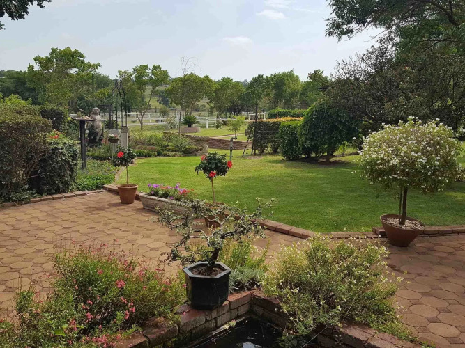 Owls Loft Guest House Over view