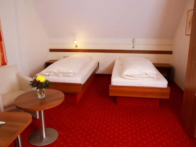 Standard Double room