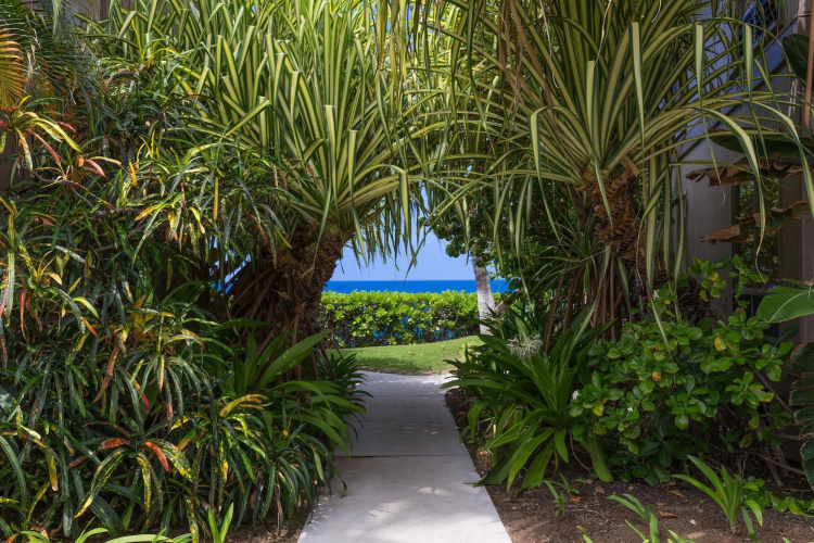 Kanaloa at Kona by Castle photo 18