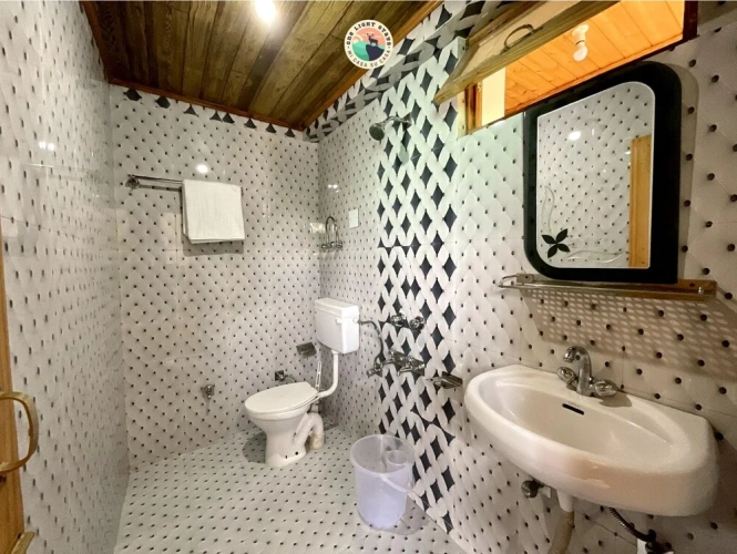 Deluxe Basement room
