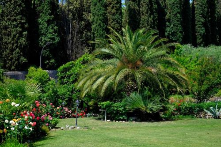 Villa Madrina photo 27