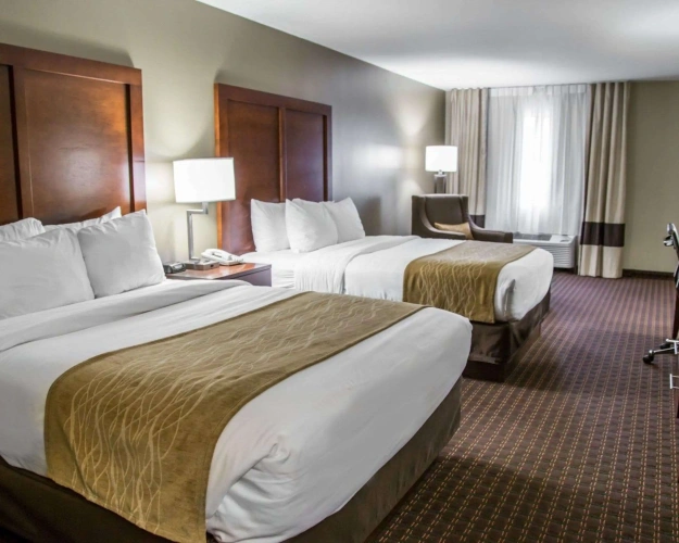 Standard Quadruple room