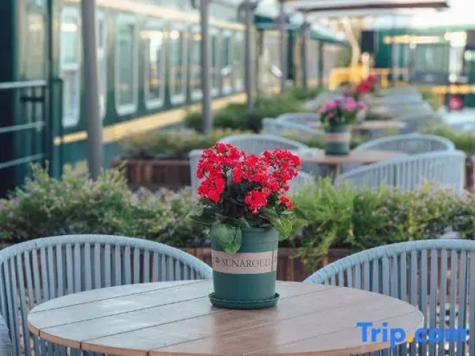 Green Train Leisurely Time