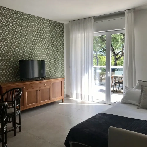 1 Bedroom Deluxe Suite