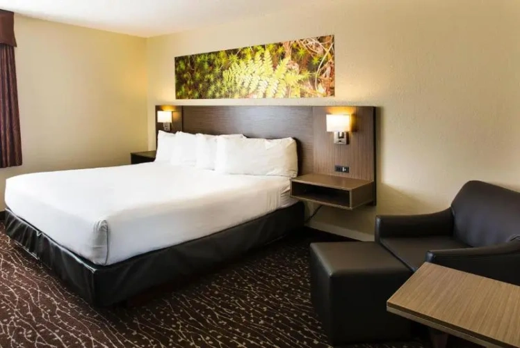 1 Bedroom Suite