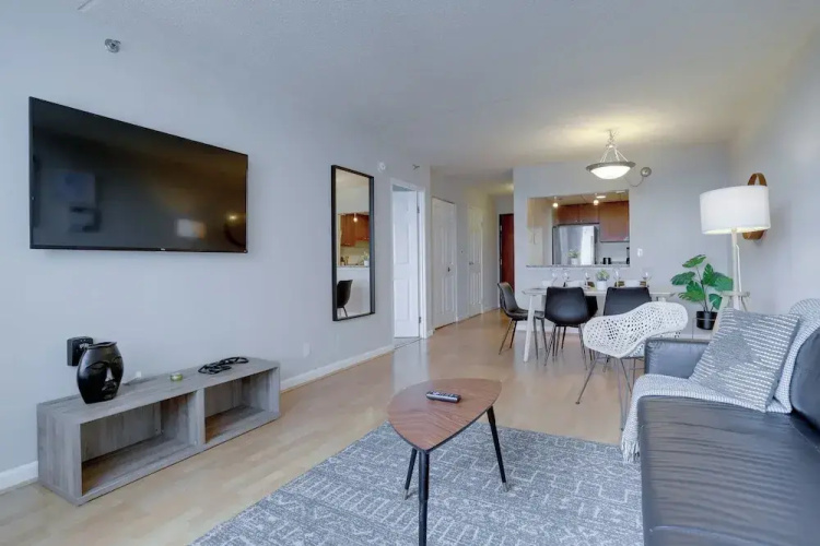 Spacious Apartment at Pentagon City