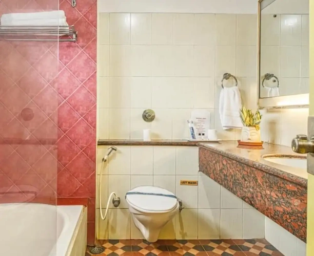 Standard Double room with balcony and with park view