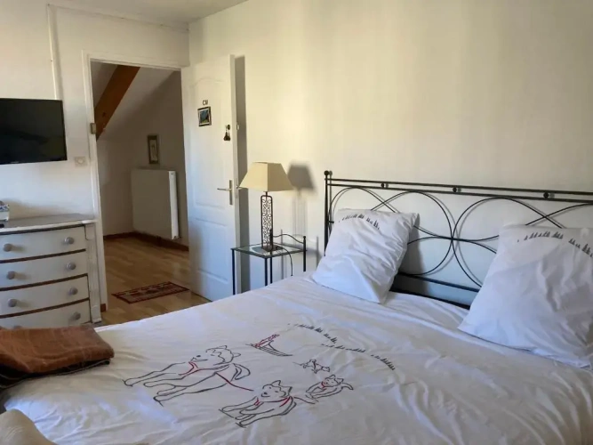 Standard Double room with mountain view