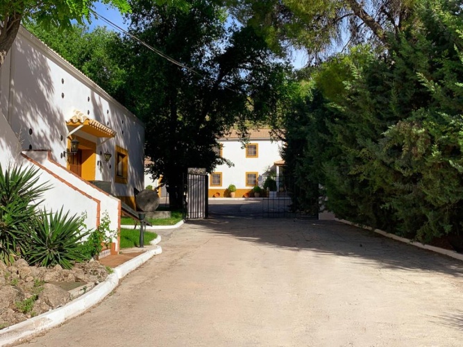 1 Bedroom Cottage