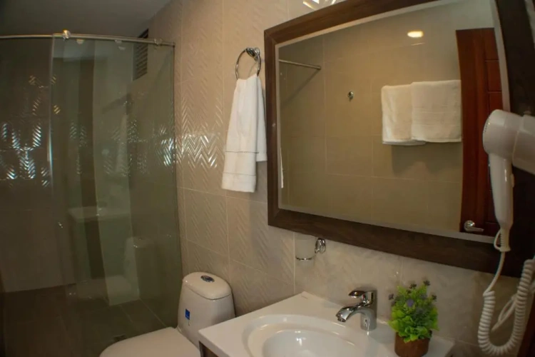 Standard Double room