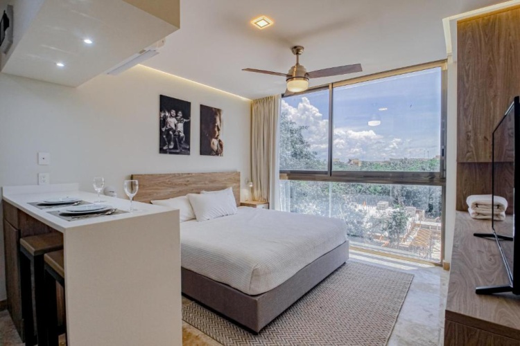 1 Bedroom Apartment
