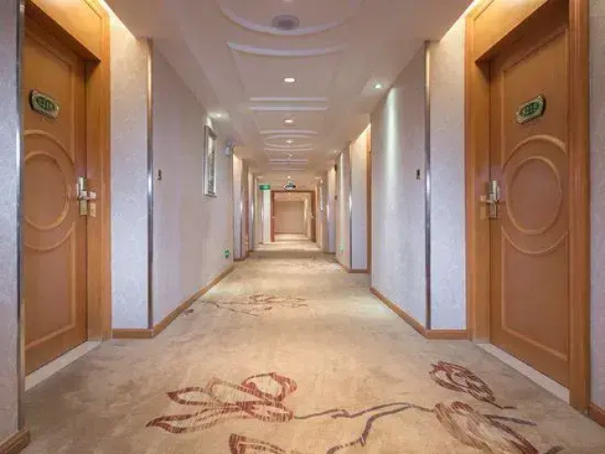 Vienna Hotel (Yizhang)