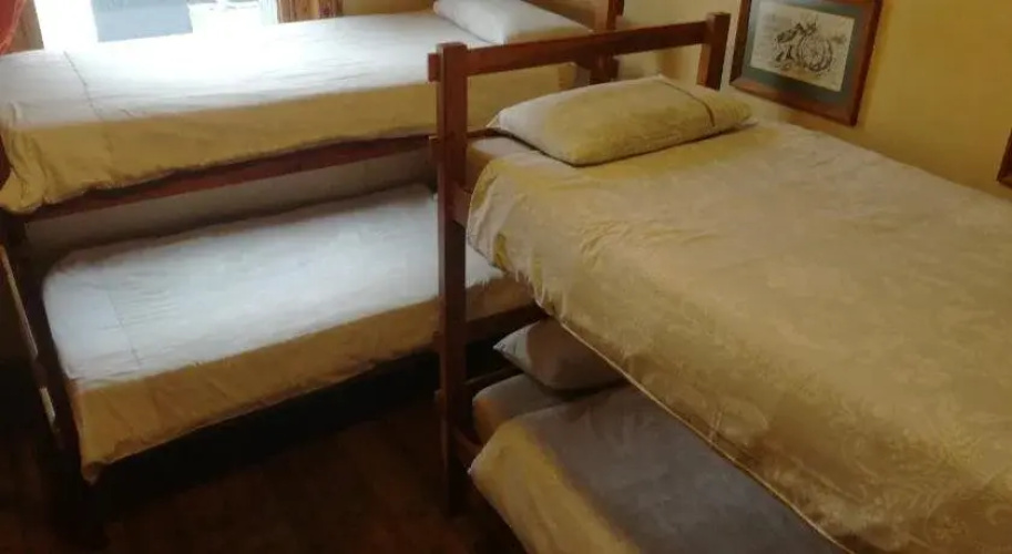 Carnival Court Backpackers - Hostel