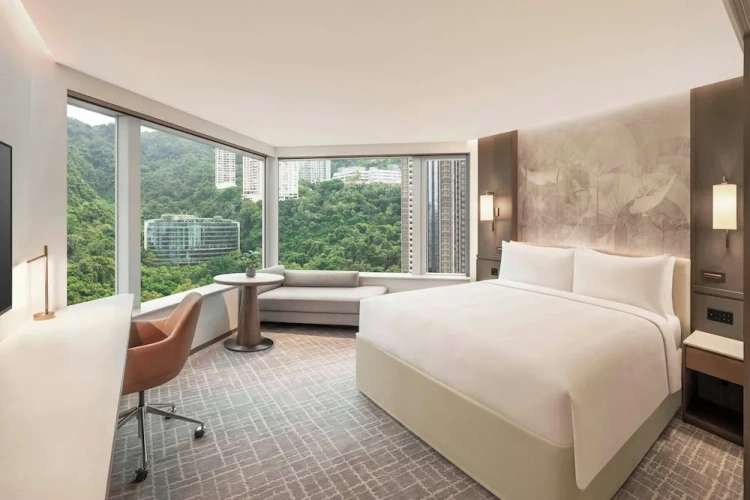 Infinity Double room with city view