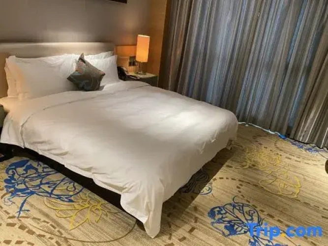 Executive Quadruple Suite