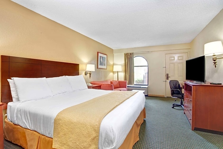 Pet-Friendly room