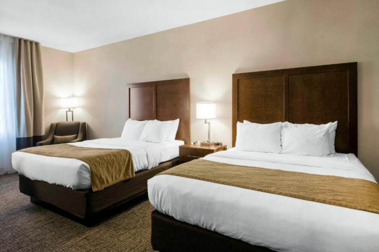 Standard Quadruple room