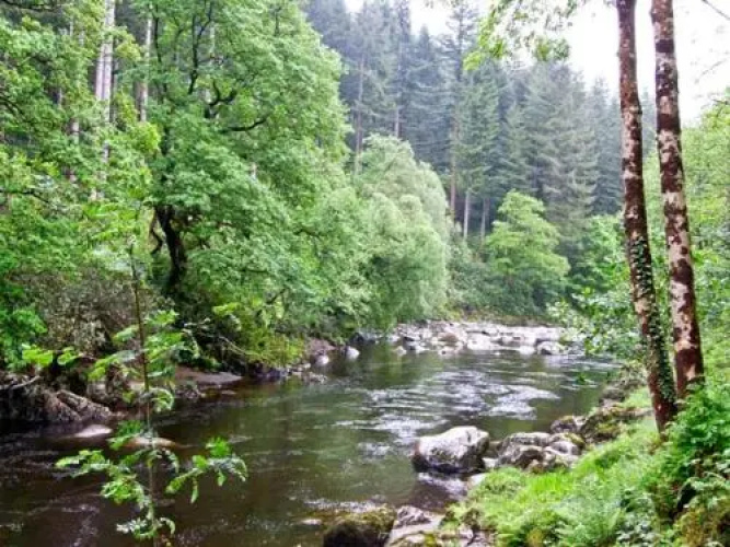 Bryn Cemlyn