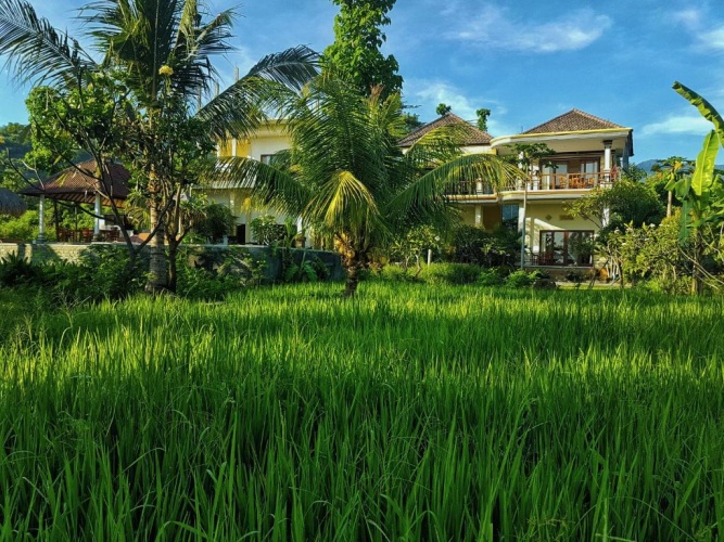 Standard Double room with garden view