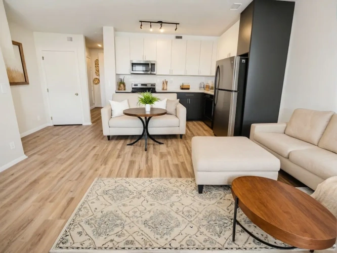 1 Bedroom Apartment