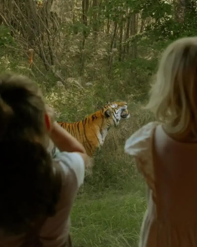 Knuthenborg Safaripark