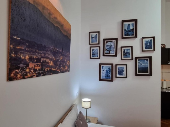Studio with balcony and with view