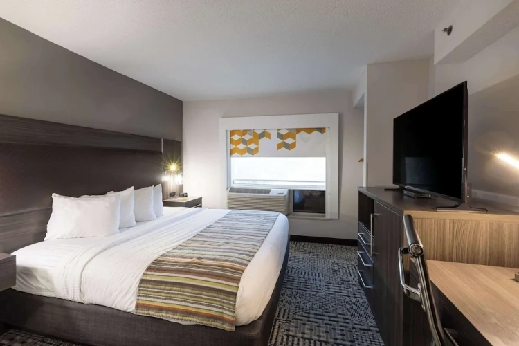 Double Suite