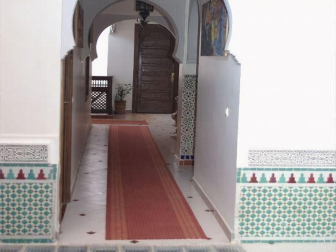 Riad Jibril photo 14